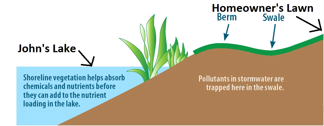 Lakefront Berms And Swales – Johns Lake Association